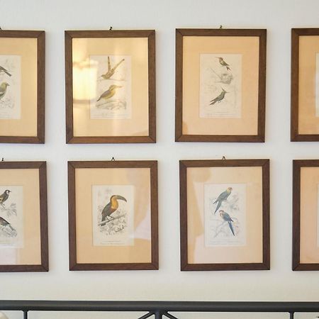 Il Nespolo Di Campopisano Apartment Genoa Bagian luar foto