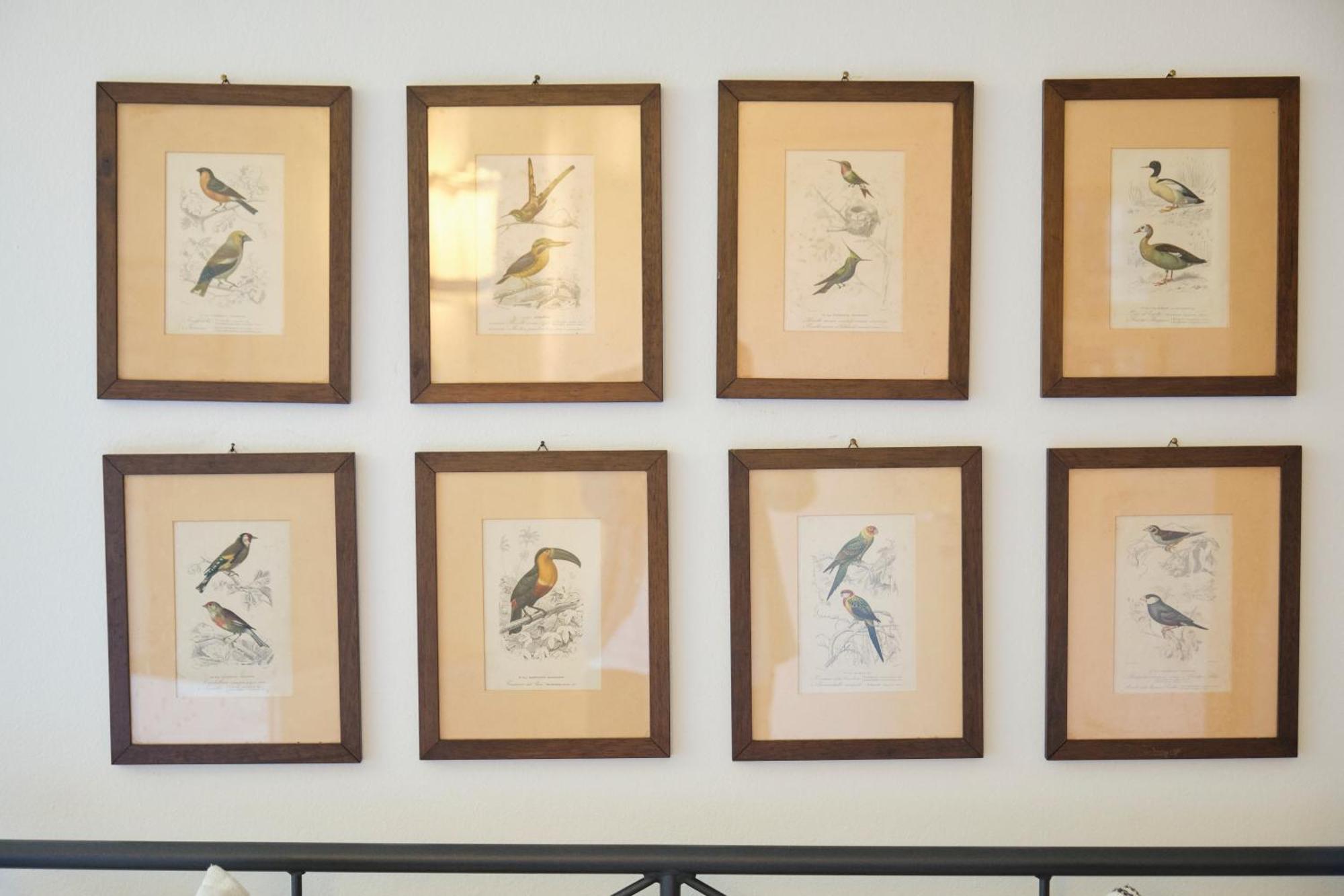 Il Nespolo Di Campopisano Apartment Genoa Bagian luar foto